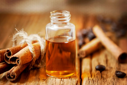 The Allure of Cinnamon: Spice, Oil, and Everyday Uses