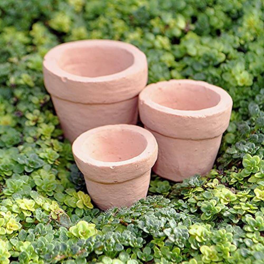 Fairy Garden miniature Garden Pots