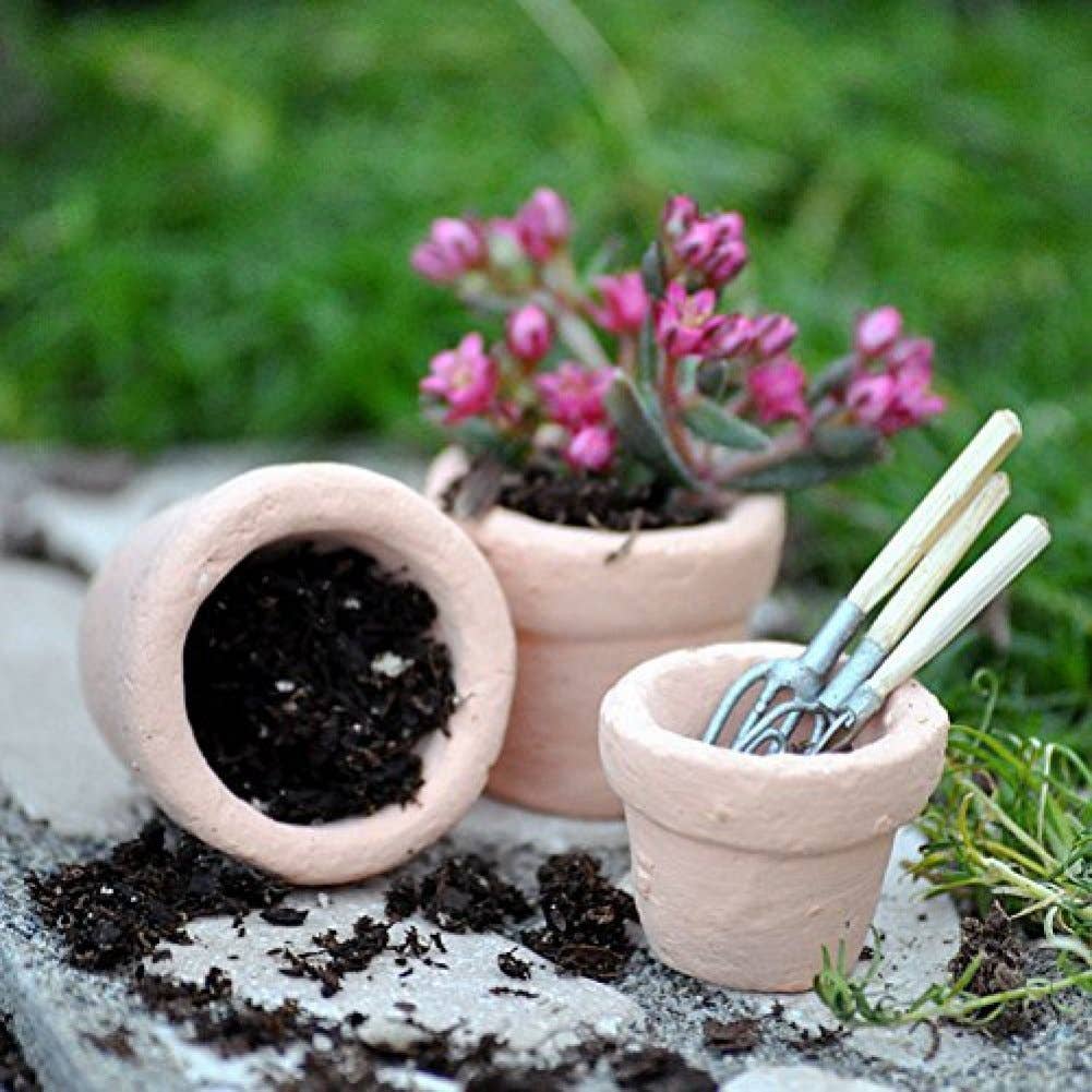 Fairy Garden miniature Garden Pots-2