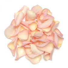 Rose petals