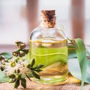 Eucalyptus Oil (1mg)