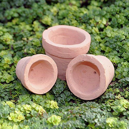 Fairy Garden miniature Garden Pots