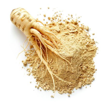 Ginseng root